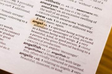 The word or phrase Angel in a dictionary.