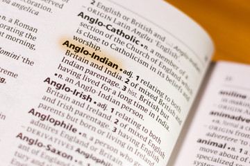 The word or phrase Anglo-Indian in a dictionary.