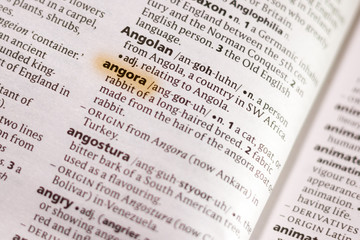 The word or phrase Angora in a dictionary.