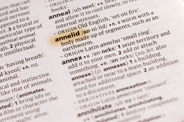 The word or phrase Annelid in a dictionary.