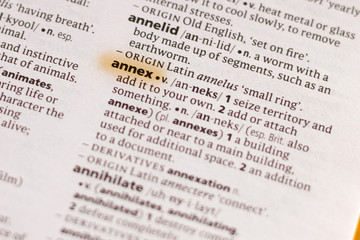 Fototapeta premium The word or phrase Annex in a dictionary.