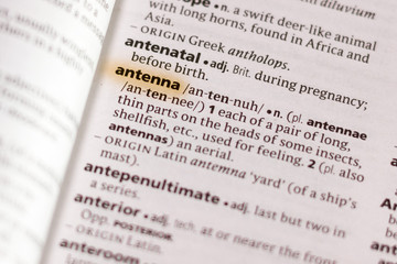 The word or phrase Antenna in a dictionary.