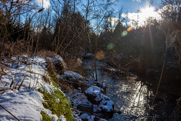 winter forest creek