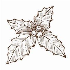 Mistletoe traditional plant on Christmas celebration winter holiday