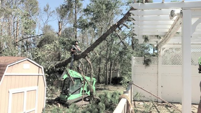 Hurricane Florence tree removal