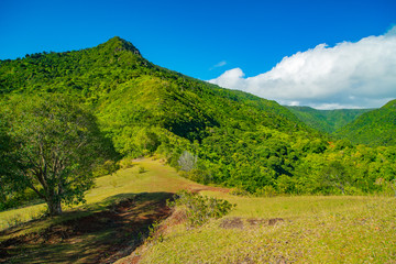 Ile Maurice - Parc National des Gorges de Rivi&egrave;re Noire - Point de vue