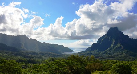 Fototapeta premium A Week in Paradise: French Plynesia