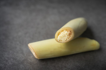 Sugar Cane Flower