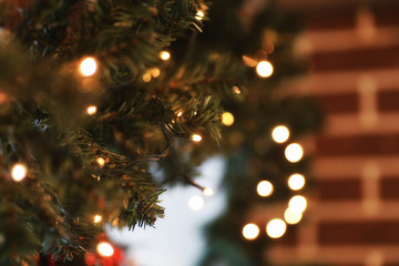 Fototapeta na wymiar garland lights on fir tree branch blured background
