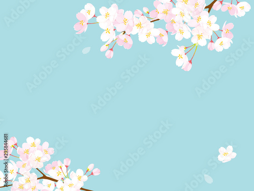 Fototapete 桜 背景イラスト Fototapeten Wallsheaven Perori