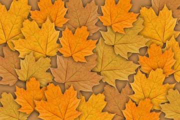 Naklejka na ściany i meble Background of autumn orange maple leaves.