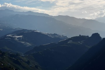 Fog,in the forest on the mountains of Taiwan.