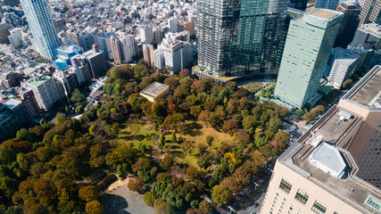Tokyo cityscape as seen from the Tokyo Metropolitan Government Building in Shinjuku