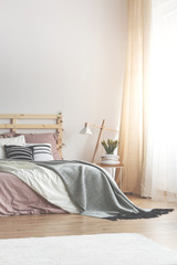 Grey blanket on pink wooden bed with pillows in bedroom interior with lamp and plant. Real photo