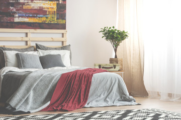 Red blanket on grey wooden bed in bedroom interior with painting and plant on table. Real photo