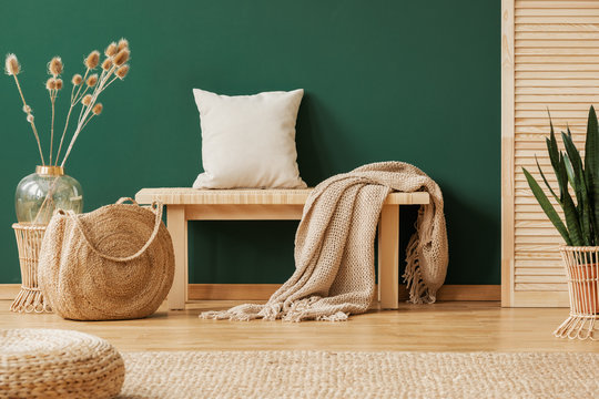 Blanket and pillow on wooden bench in green apartment interior with pouf, bag and plants. Real photo