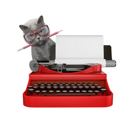 Cute cat is typing on a typewriter keyboard. Isolated on white - 235848229