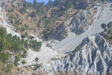 Pine Trees on sand mountains in Muzaffarabad, Azad Kashmir. 