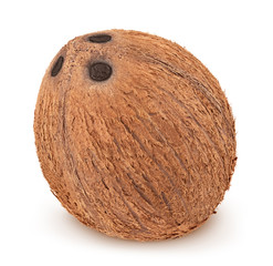 Studio shot of whole coconut isolated on a white background.