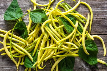 Fresh bean pods, yellow beans with leaves, organic vegetable harvested freshly from the garden