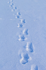footprints in the snow concept of path and goal achievement