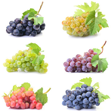 Grapes on a white background