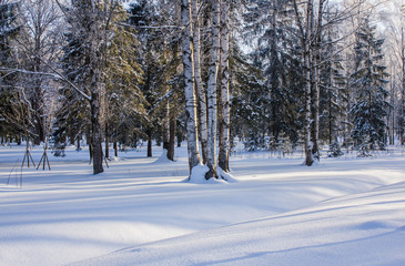Winter landscape in clear weather. Morning bright sun. Snow plays shine. Frosty Snow Park