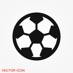 Sport ball icon. Flat vector illustration isolated on background