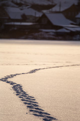 footprints in the snow concept of path and goal achievement