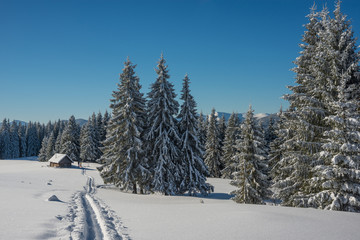 Winter scene with ski-track