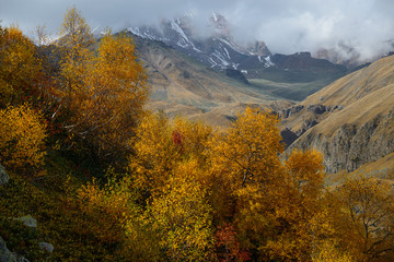 Naklejka premium Yellow trees against mountains background