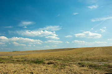 Obraz premium Mowed field on the hill