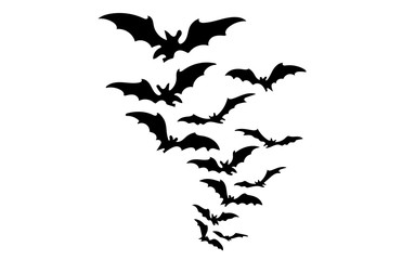 Bat