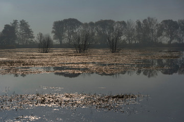 Bleistätter Moor