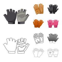 Fototapeta premium Vector illustration of glove and winter sign. Collection of glove and equipment vector icon for stock.