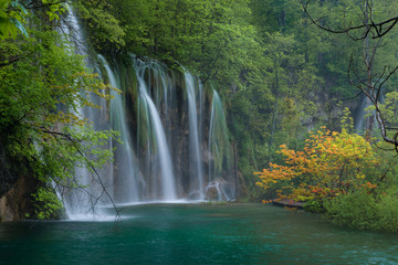 Scene with waterfall and orange maple branch