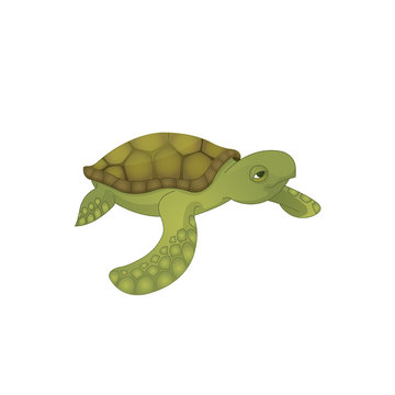 Cute vector sea turtle illustration.
