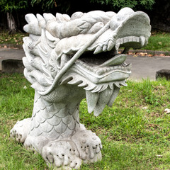 Drachenkopf aus Stein 