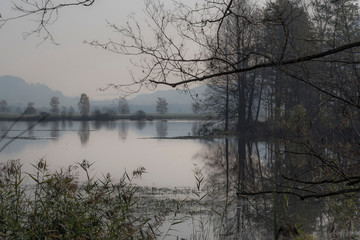 Bleistätter Moor