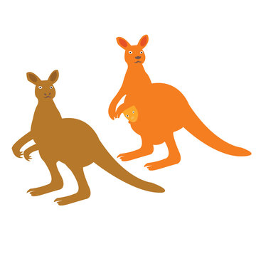 Vector image of kangaroo with baby in pouch
