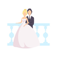 Elegant couple of newlyweds posing for photo against the backdrop of a balustrade at a wedding ceremony vector Illustration