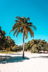 Life in Cuba, Havana, Trinidad and Varadero 
