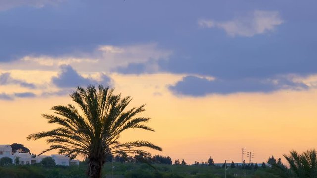 Sunset over white houses and palms . Silhouette of a palm tree over the sunset. Time Lapse. Timelapse.