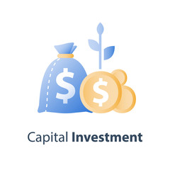 Money bag and coins with plant stem, investment fund, pension savings account, superannuation payment, capital allocation