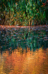 Autumn Colours Reflected in Water