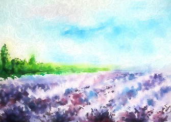 Fototapeta na wymiar lavender dream post card illustration