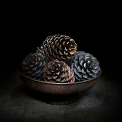 Pine cones in bowl on hessian, dark still life. Square crop light painting.