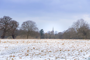 Winter landscape in Richmond Park. Cathedral tower seen from a distance.