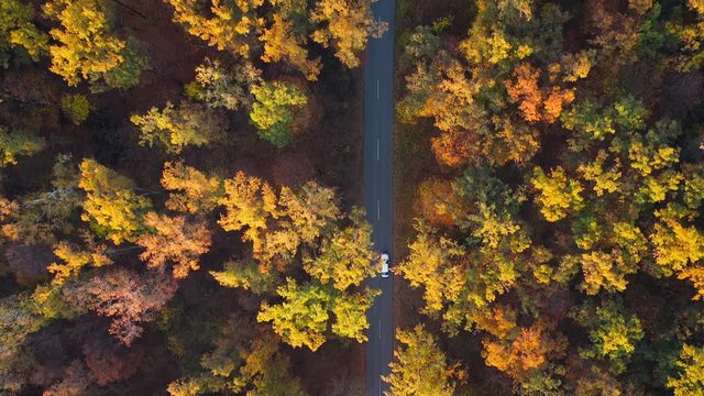 Aerial View On Car Driving Through Autumn Forest Road. Scenic Autumn Landscape