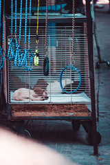 Life in Cuba, Havana, Trinidad and Varadero 